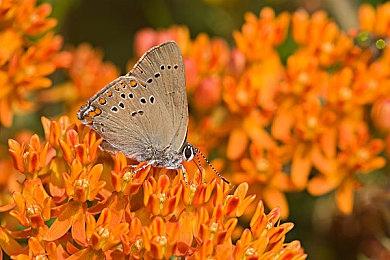 特别好评 《奇怪的RPG》续作Steam页面上线 发售日期待定