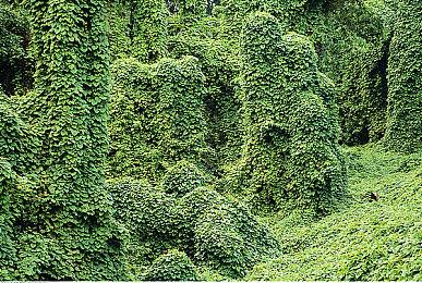 《绝地潜兵2》新债券”法律铁腕“更新 致敬经典科幻电影《特警判官》《机械战警》