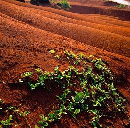 砍杀类地牢探索游戏《血仆》面向PC公布
